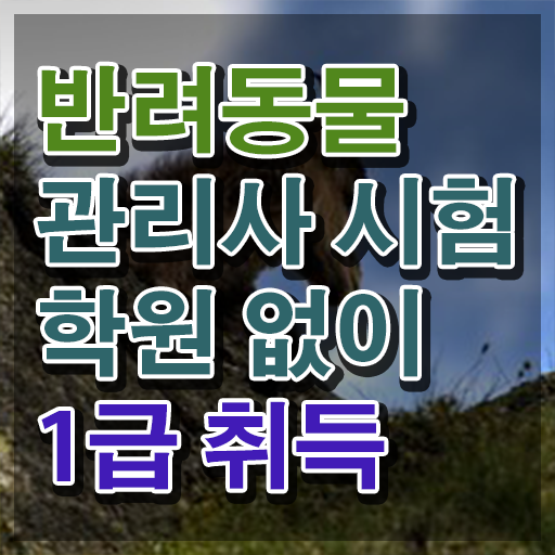  반려동물관리사 반려견 클래스 자격증 취득 이건 꼭 봐야해요 ?