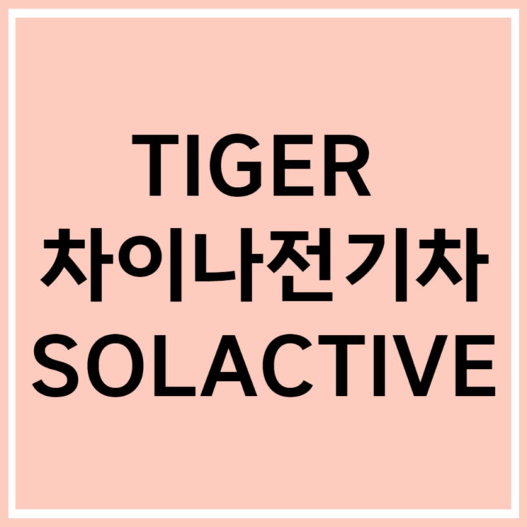  TIGER 차이나전기차SOLACTIVE (371460) ETF 알아보자