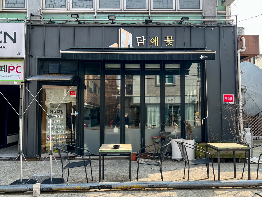 담애꽃 사진 1