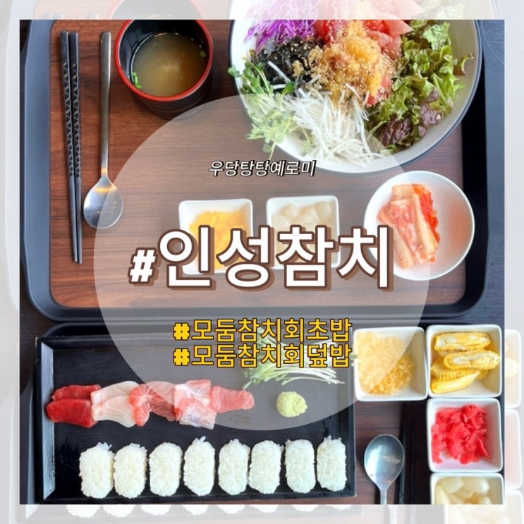 인성참치 / 인성이 좋아지는 강릉참치회 성남동횟집 점심메뉴 추천
