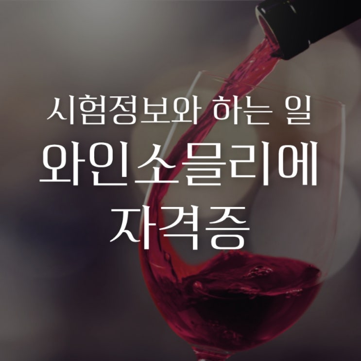 와인소믈리에 자격증 시험정보와 하는 일