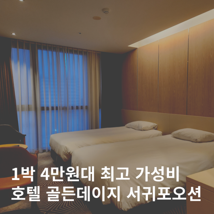  호텔 골든데이지 서귀포오션 가성비 시내 숙소 주차