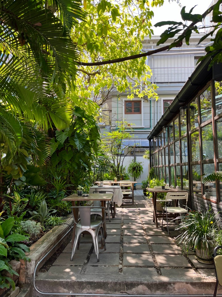 방콕 식물 인테리어가 멋진 비터맨 카페 겸 브런치