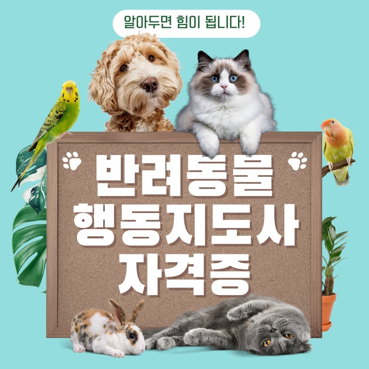  반려동물행동지도사 자격증