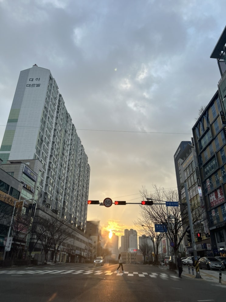  새해 아침 까치소리 듣고 좋은 일 생길 것 같은 바닐라씨 일상