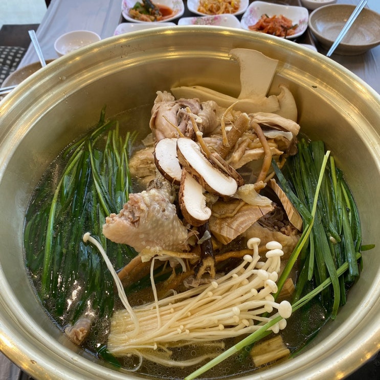  가평 대성리 맛집 비원식당 토종백숙 먹고 힐링 여행