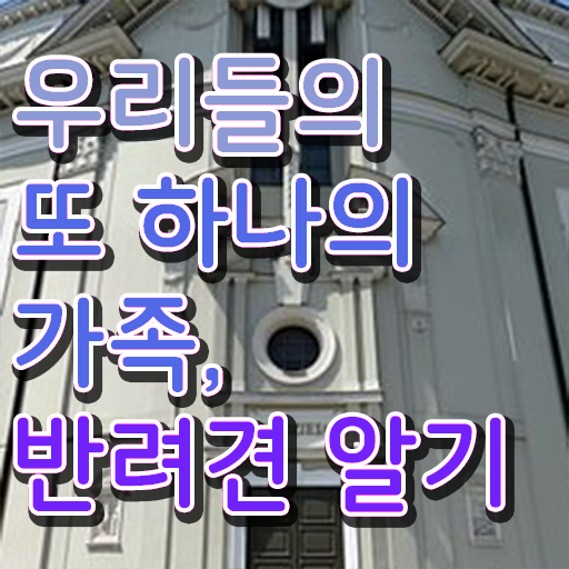  반려동물 관리사 자격증 취득 하는일 이것만 확인해요 ?
