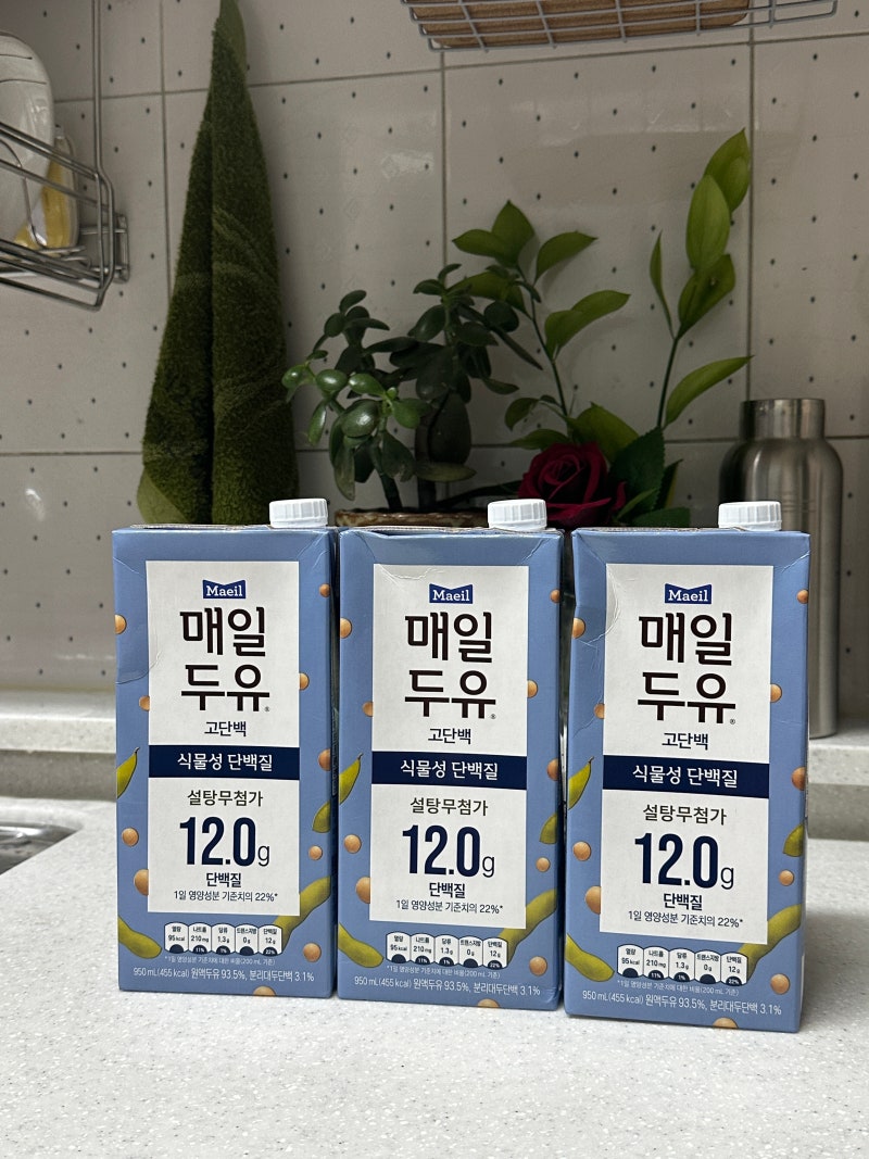매일 마시는 고단백 식물성 단백질 대용량 매일두유