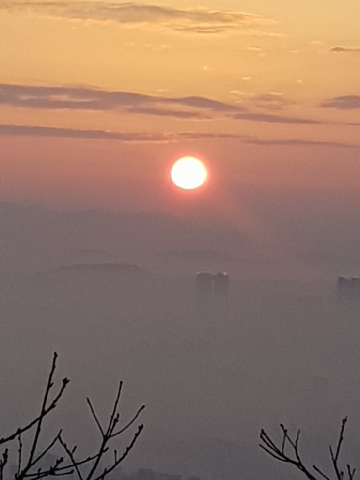  새해 복많이 받으십시오.