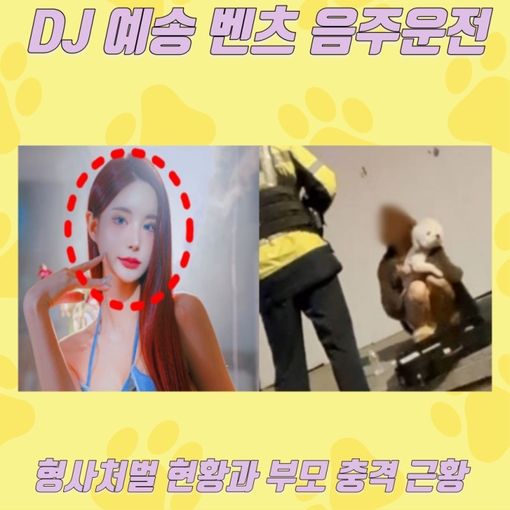  DJ 예송 벤츠 음주운전, 형사처벌 현황과 부모 충격 근황