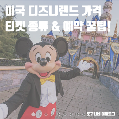  미국 디즈니랜드 가격 파크 입장료 티켓 종류 LA디즈니랜드