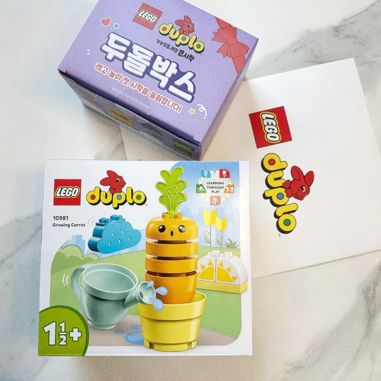  조카 선물로 2월 행사 레고 롯데월드몰점 듀플로 두 돌 박스 받고 듀플로 당근이 자라요 구매한 리뷰.