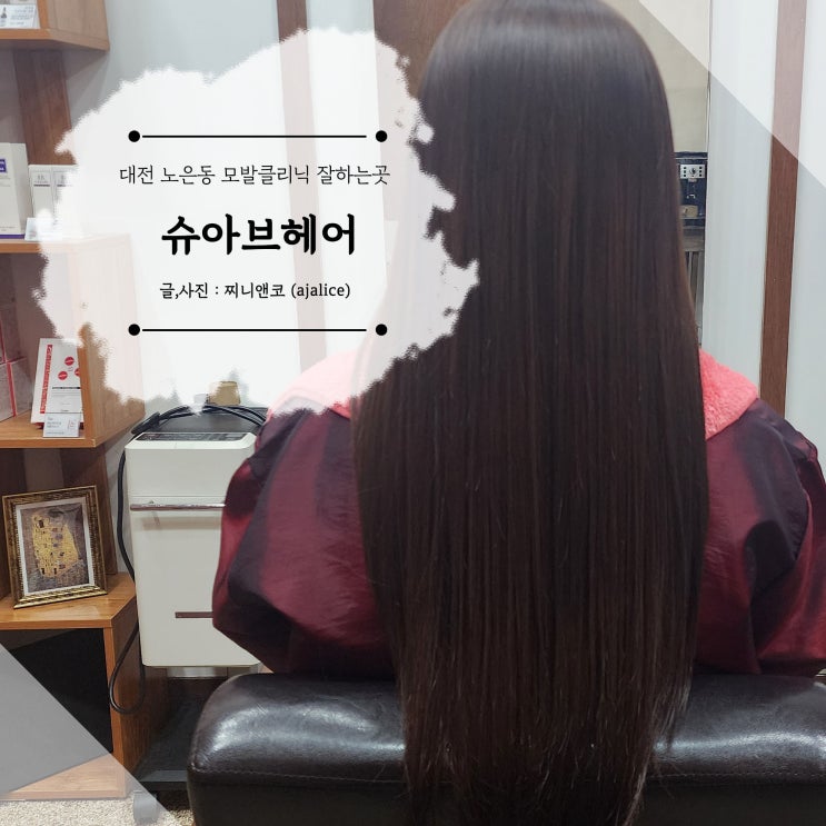 대전 노은동 모발클리닉 잘하는 곳 두피부터 꼼꼼한 슈아브헤어 대전 노은동 모발클리닉 잘하는 곳 두피부터 꼼꼼한 슈아브헤어