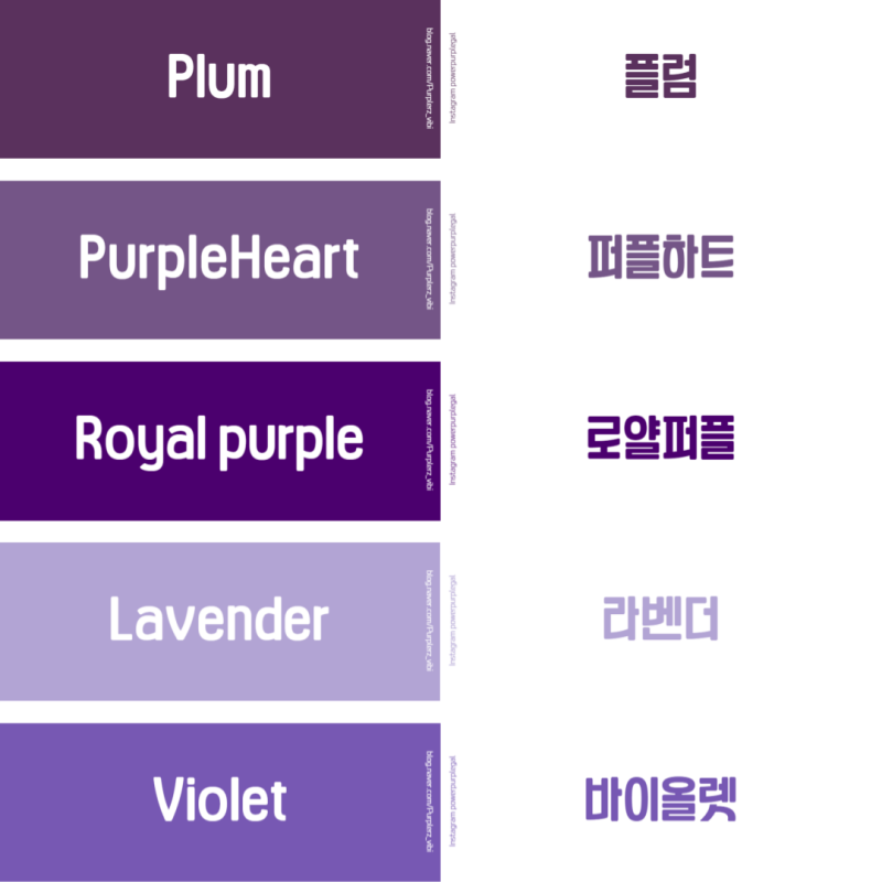 보라색 영어로? 종류별 보라색 영어 이름 정리해 봤습니다!