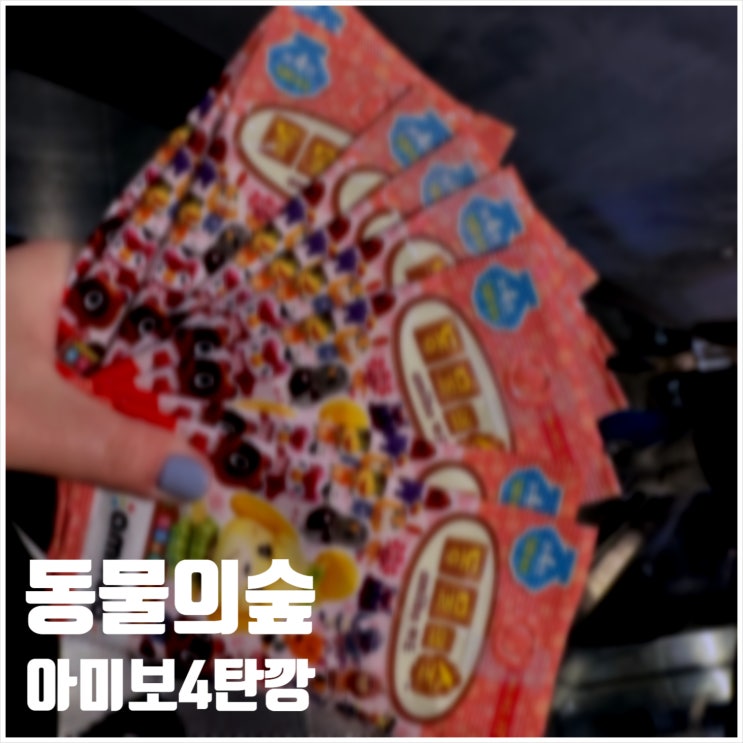  동물의숲 아미보카드깡 4탄 사이다를 위한 열정