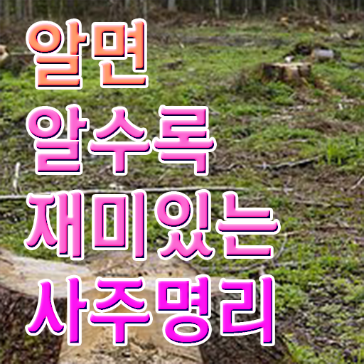  사주팔자 사주팔자대로 명리심리상담사 무료 과정 필수 정보 쏙쏙 ?!