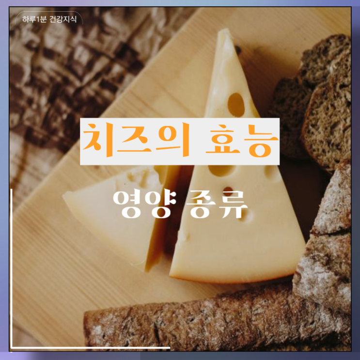  치즈의 효능 영양 종류 저탄고지 치즈
