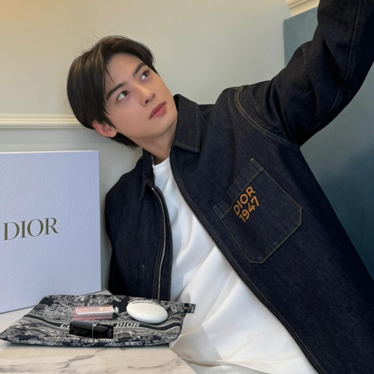  차은우 디올 립글로우 르밤 함께 입은 옷 데님 봄자켓 가격은?