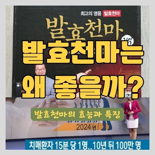  천마의 성분과 효능 및 발효천마를 먹어야 하는 이유