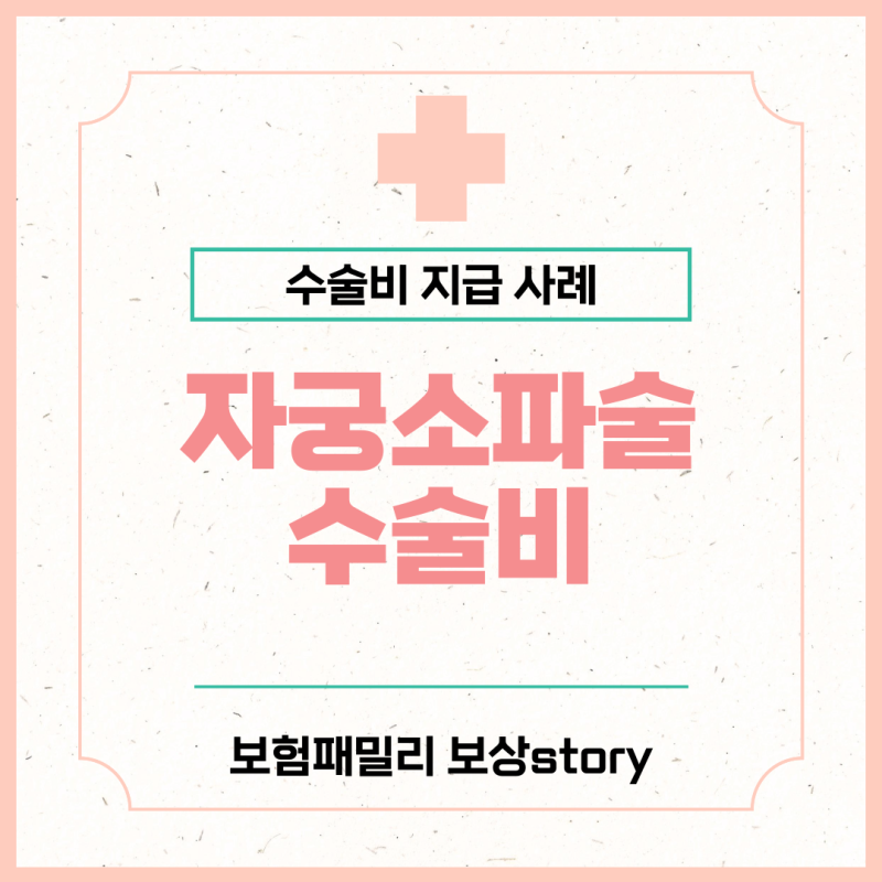 자궁소파술 수술비 보험금 지급 사례, 치료목적 진단목적 주의해서 청구하기