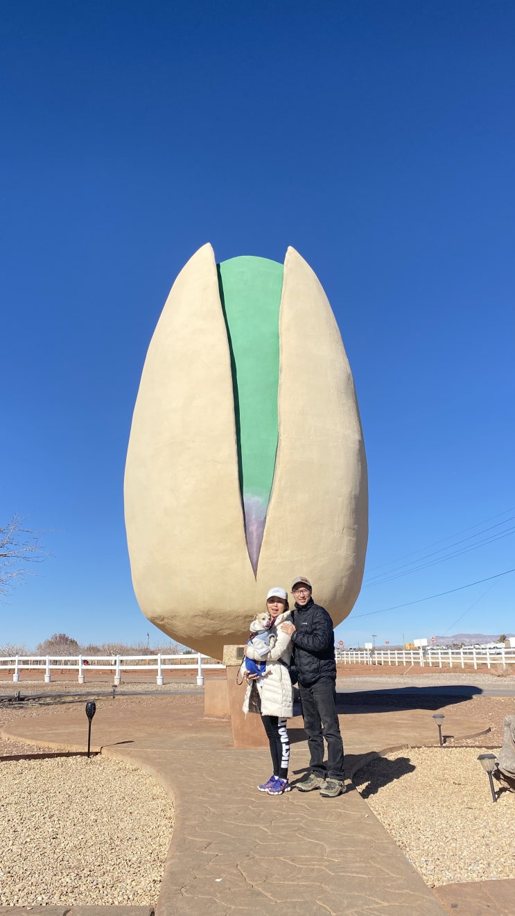  [New Mexico] 피스타치오 랜드, 뉴멕시코 화이트 샌드 국립공원 근처 볼거리, 세계에서 가장 큰 피스타치오의 집 McGinn's Pistachio Land
