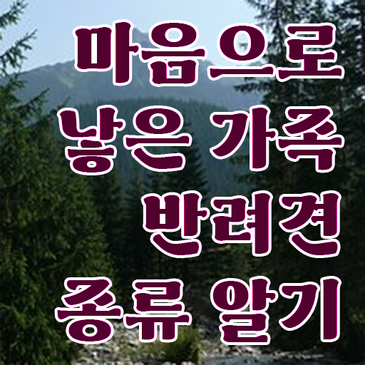  반려동물관리사 자격증 취득 교육 제가 알려드릴게요 !