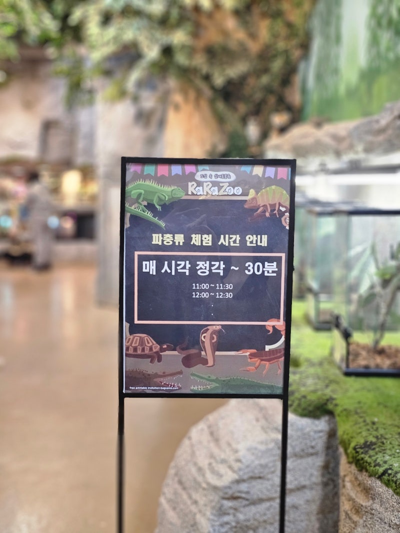 깨갱' 소리 한번 못 내고...코요테에 물려간 강아지의 최후 [수요동물원], image size:800x1067