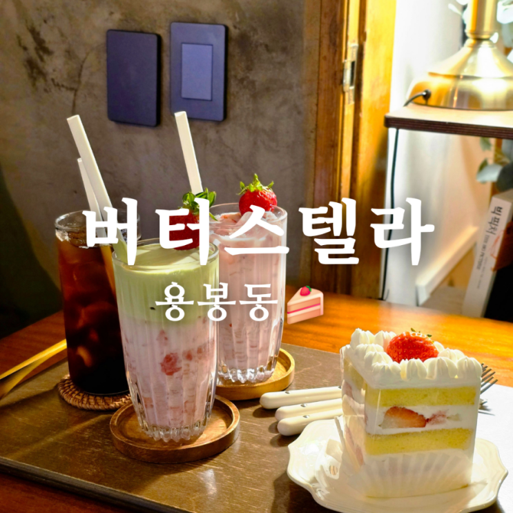  딸기 케이크 맛집! 용봉동 카페 버터스텔라