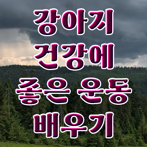  반려견운동지도사 1급 자격증 준비방법 정보 제공 ~