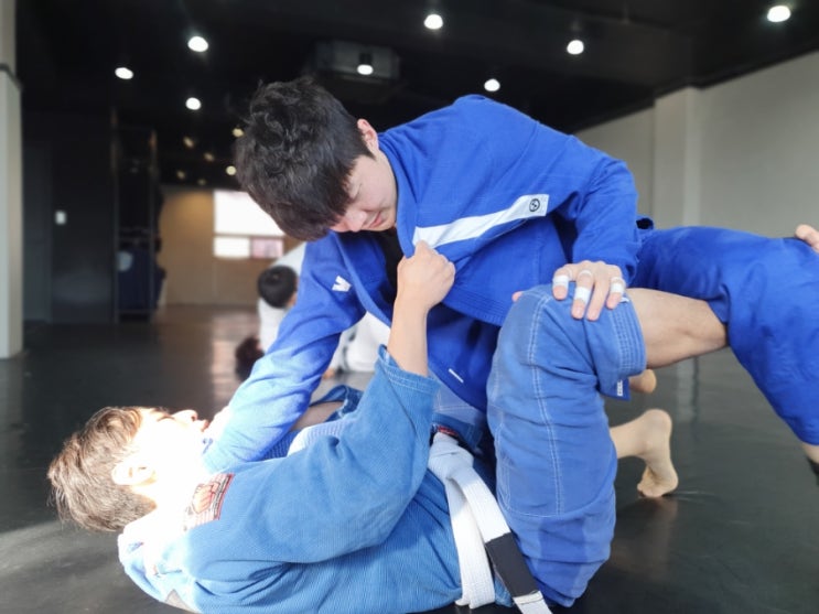 따뜻해지는 봄! 재밌는 서울대입구 주짓수 1 ~ 2월 일상 모음(신규 등....