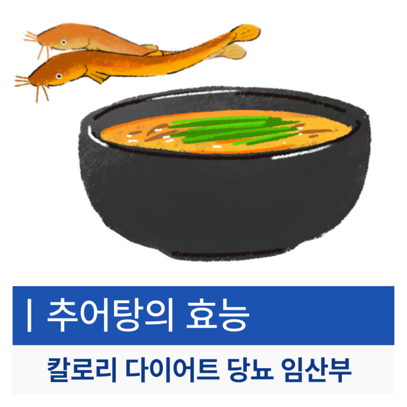 추어탕 효능 (칼로리 다이어트 당뇨 임산부)