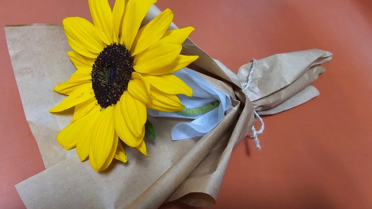  [일상] "해바라기(sunflower)" 의외의 꽃말! (feat.기념일)
