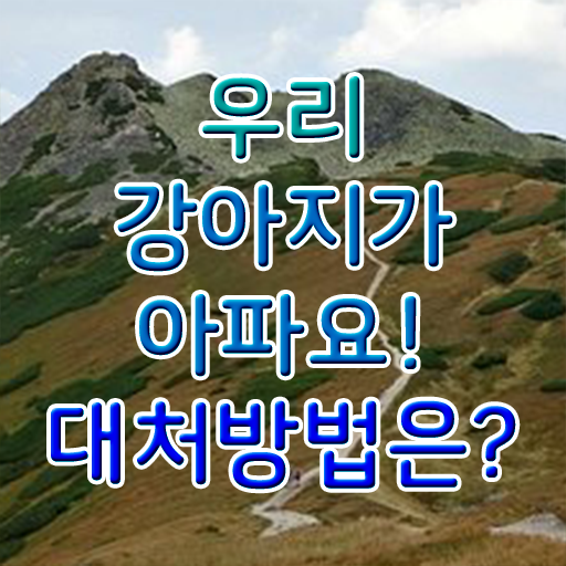  강아지열날때 처치방법 필수 정보 여기에 ~