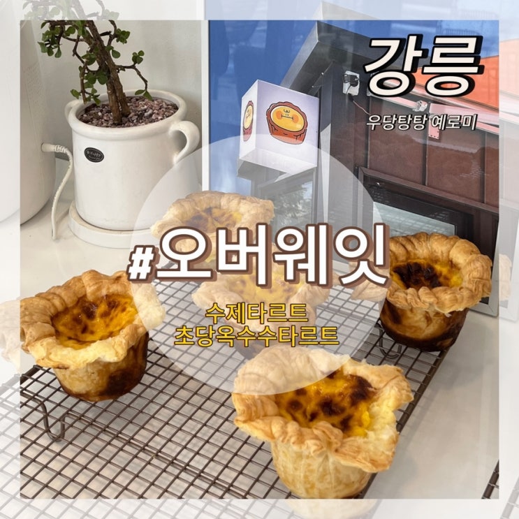  오버웨잇 / 강릉 경포대카페 처음 보는 대왕에그타르트