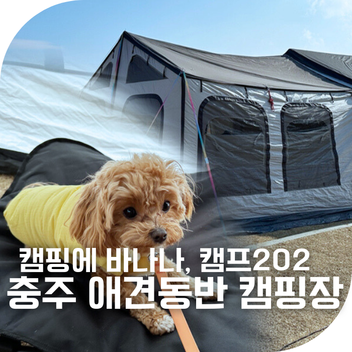 충북 충주 애견동반 캠핑장 2곳 소개