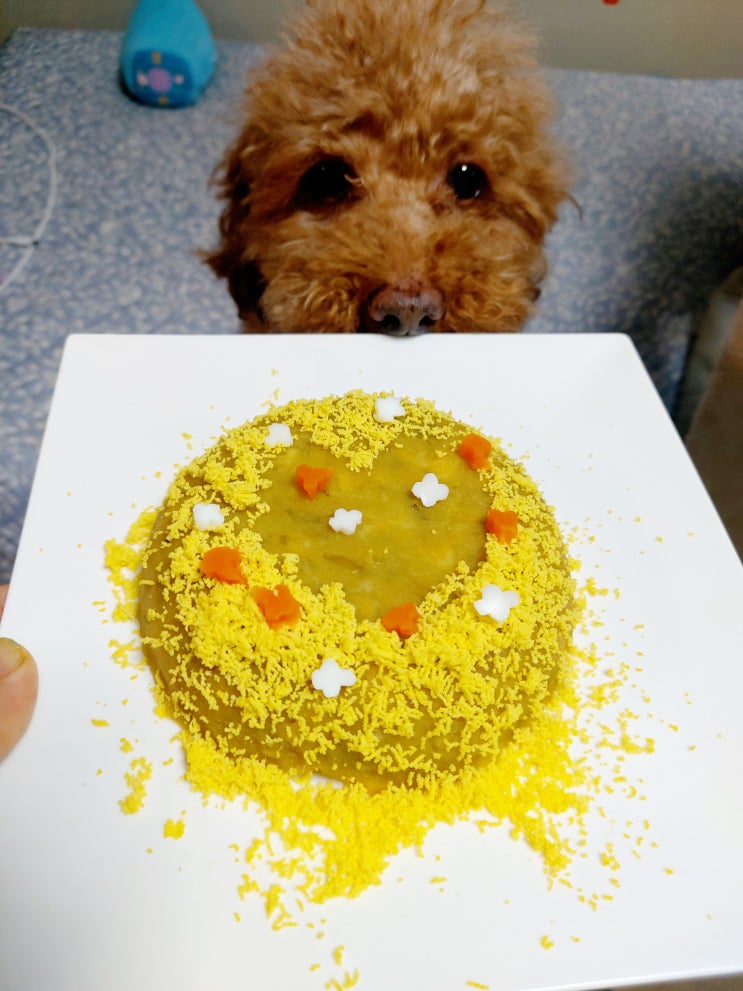 떡만둣국, 강아지와 함께 먹을 수 있는 고구마케이크 : 새해음식
