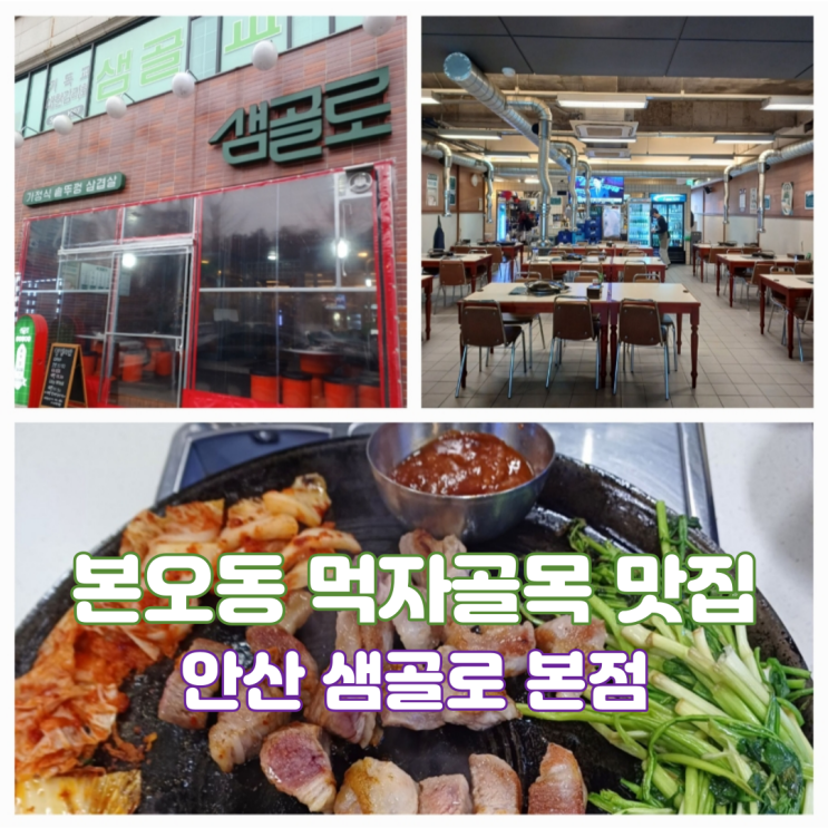 본오동 먹자골목 맛집 샘골로 본점 안산 상록수 미나리 삼겹살 맛집 본오동 먹자골목 맛집 샘골로 본점 안산 상록수 미나리 삼겹살 맛집