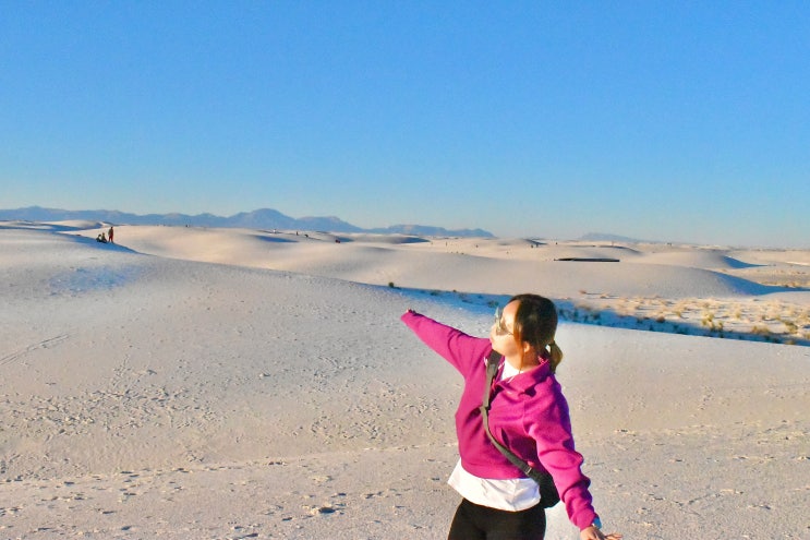  [New Mexico] 애견동반 뉴멕시코 화이트 샌즈 국립공원 White Sand National Park
