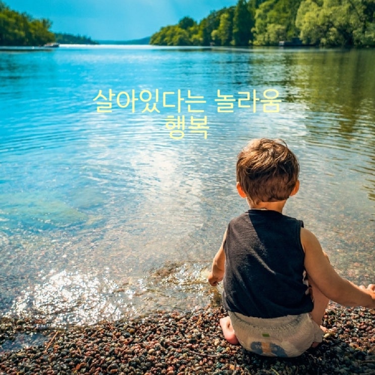 지금 이순간- 살아있다는 놀라움, 행복 지금 이순간- 살아있다는 놀라움, 행복
