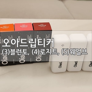  [지속력 좋은 립틴트]오아드립티커 웜톤 찰떡 색상 추천! 블런토/로지트/웨얼보