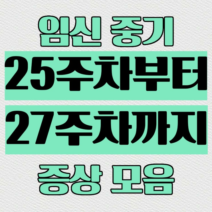  임신7개월차 중기 25주차부터 27주차까지 증상모음, 정밀초음파꿀팁, 임신황금기, 딸꾹질