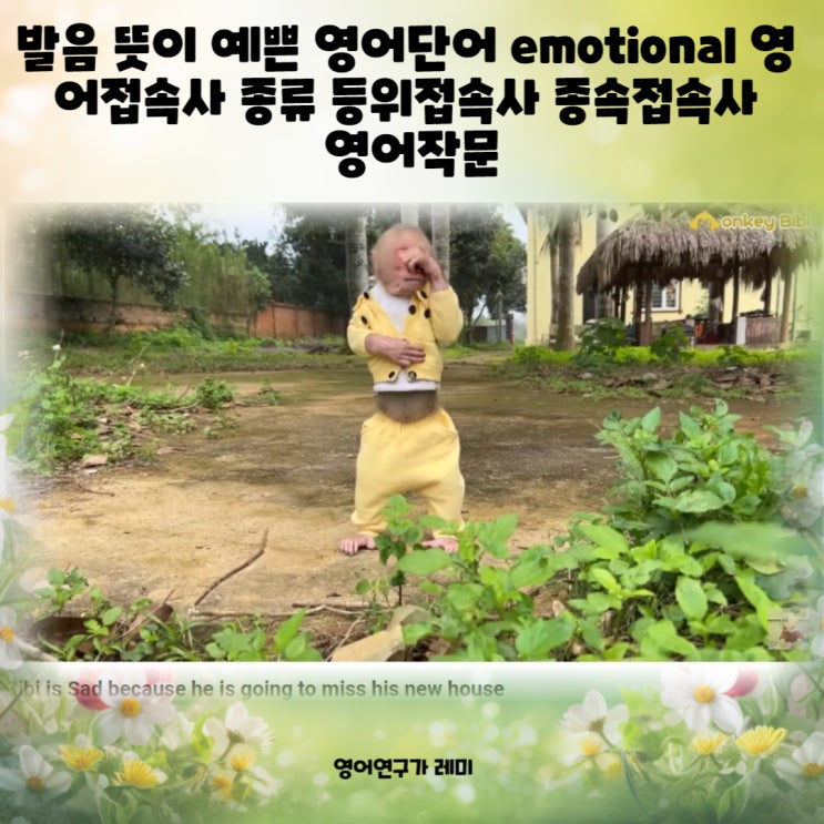 발음 뜻이 예쁜 영어단어 emotional 영어접속사 종류 등위접속사 종속접속사 영어작문