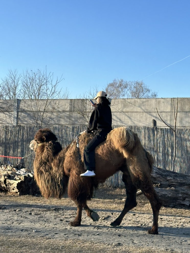  [헝가리 여행] 발라톤 호수 근처 헝가리 이색 동물원 : Bella Zoo Park
