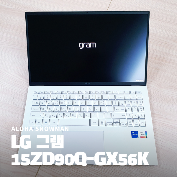 LG 그램 노트북 15ZD90Q-GX56K
