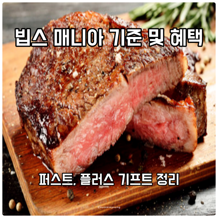  빕스 매니아 퍼스트, 플러스 기프트와 기준 및 혜택 정리
