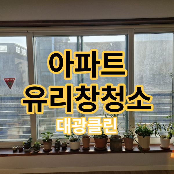 서울 아파트 유리창 청소 업체 선정하는 방법, 거실 창도 문제없어요!