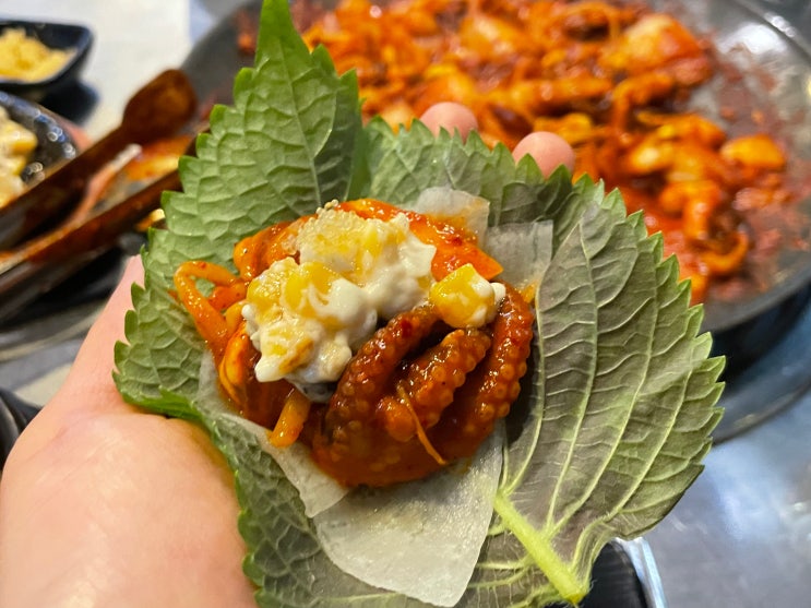  [관악] 독도쭈꾸미 서울대입구 매운음식 맛집 원탑 맵친자 강력추천