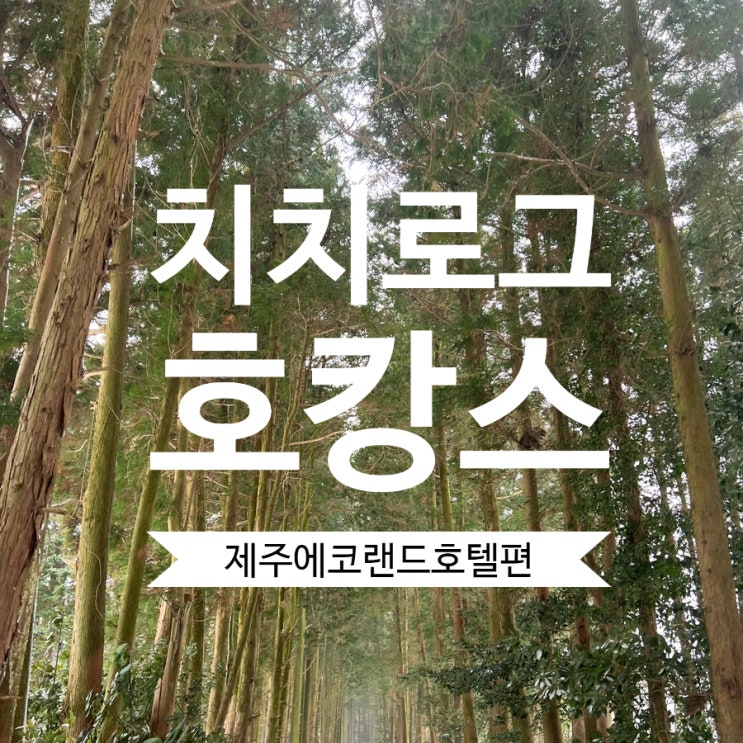  [제주] 제주도 가성비 5성급 호텔을 찾는다면 바로 여기! 에코랜드 호텔