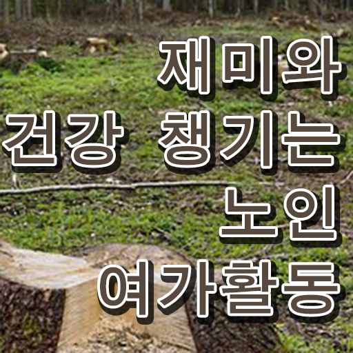  노인여가활동지도사 자격증 빠른 취득 필수 정보 쏙쏙 ?!