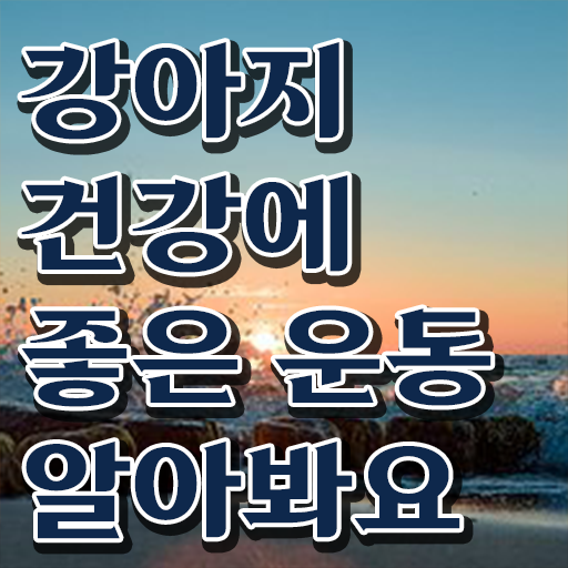  반려견운동지도사 자격증 1급 교육 정보 모두 드려요 !